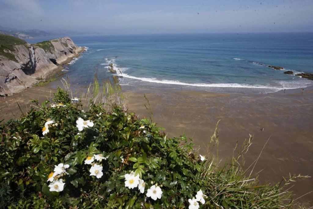 2 Habit, Sala, Terraza, Jardin, Parking Gratis Διαμέρισμα Zumaia Εξωτερικό φωτογραφία